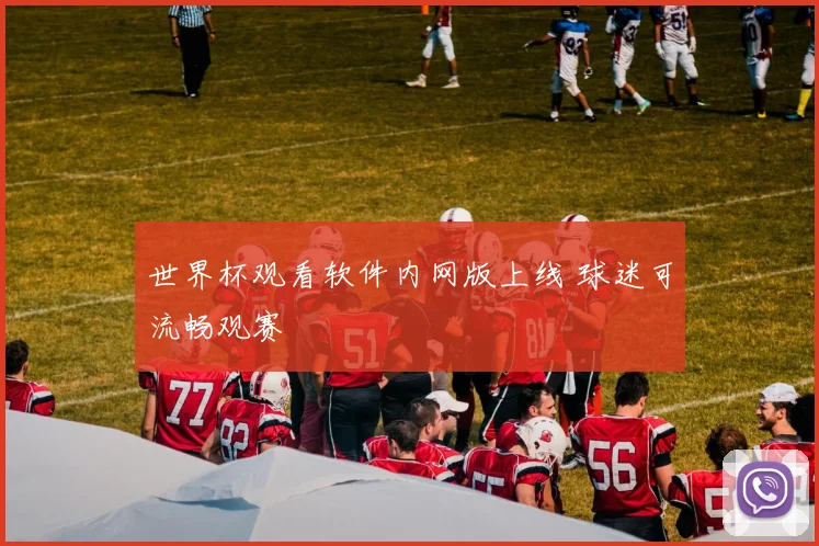 世界杯观看软件内网版上线 球迷可流畅观赛