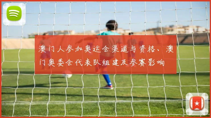 澳门人参加奥运会渠道与资格、澳门奥委会代表队组建及参赛影响