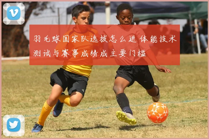 羽毛球国家队选拔怎么进 体能技术测试与赛事成绩成主要门槛