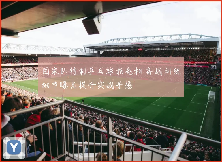 国家队特制乒乓球拍亮相 备战训练细节曝光提升实战手感