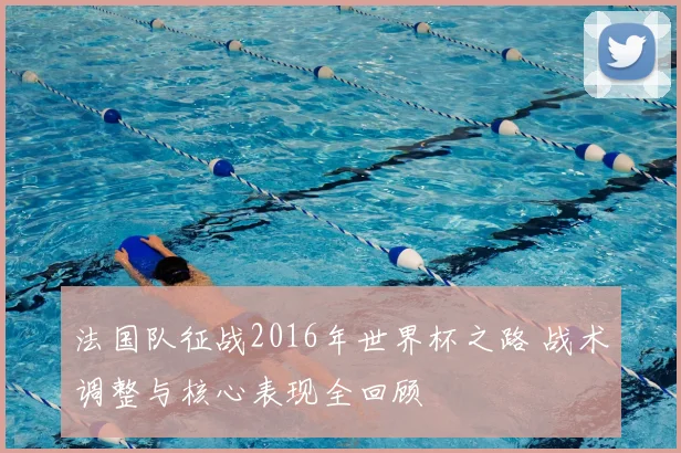 法国队征战2016年世界杯之路 战术调整与核心表现全回顾