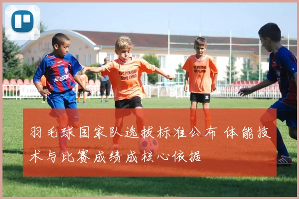 羽毛球国家队选拔标准公布 体能技术与比赛成绩成核心依据