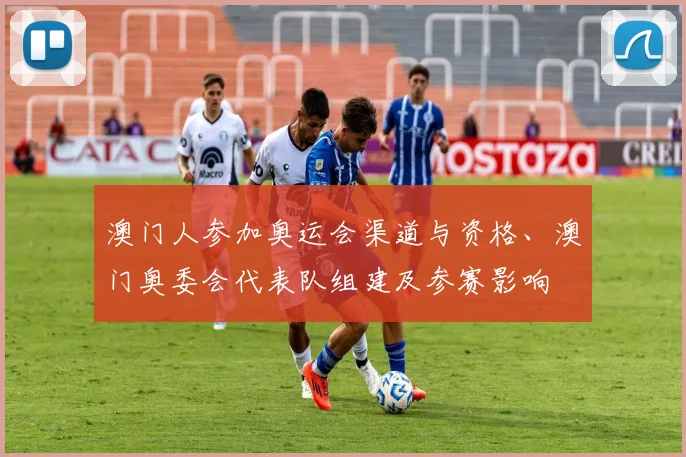 澳门人参加奥运会渠道与资格、澳门奥委会代表队组建及参赛影响