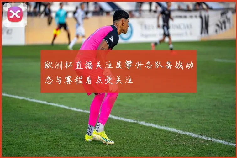 欧洲杯直播关注度攀升各队备战动态与赛程看点受关注